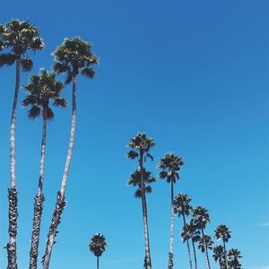 Meet your Posher, Fariha